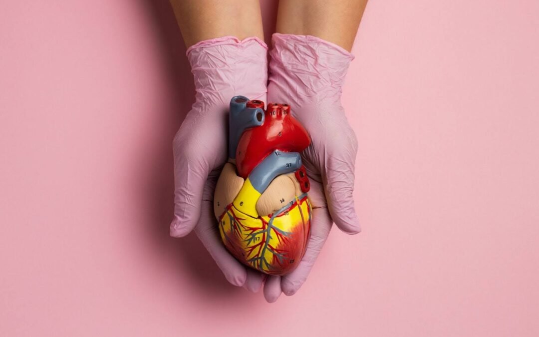 Donating Organs After Death: What Singapore Law Says