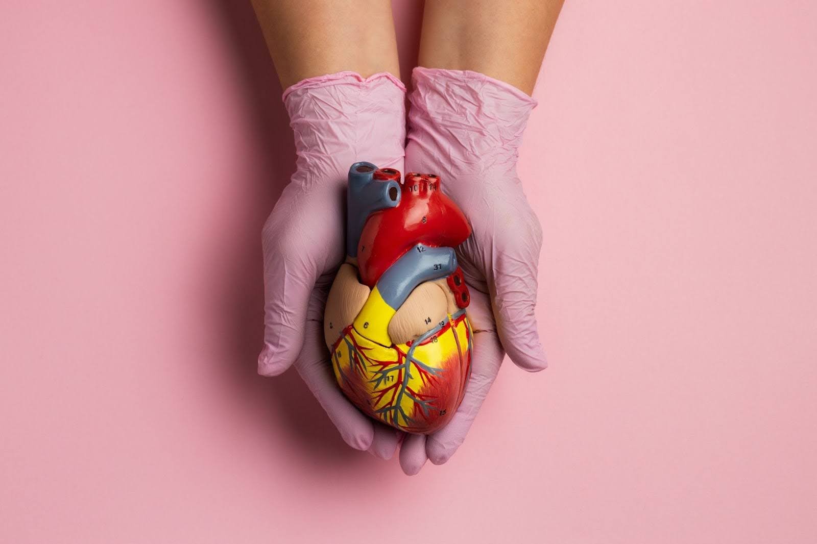 Donating Organs After Death 0 What Singapore Law Says