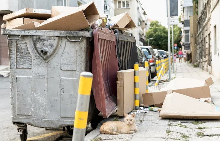 High-Rise Littering In Singapore - What You Need to Know
