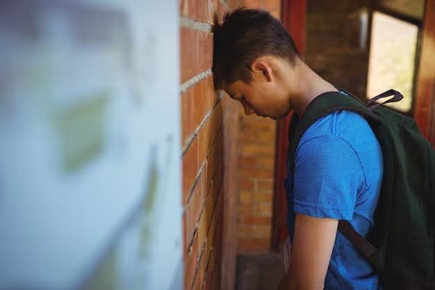 Placement In A Youth Rehabilitation Centre (YRC)