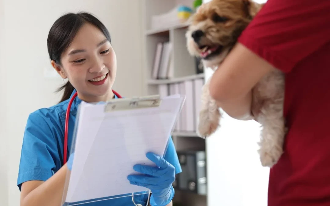 Should I Get Pet Insurance In Singapore? A Essential Guide