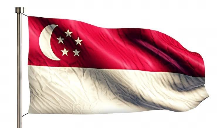 The Legal Consequences of Misusing the Singapore Flag